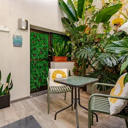 Apartman Loft
